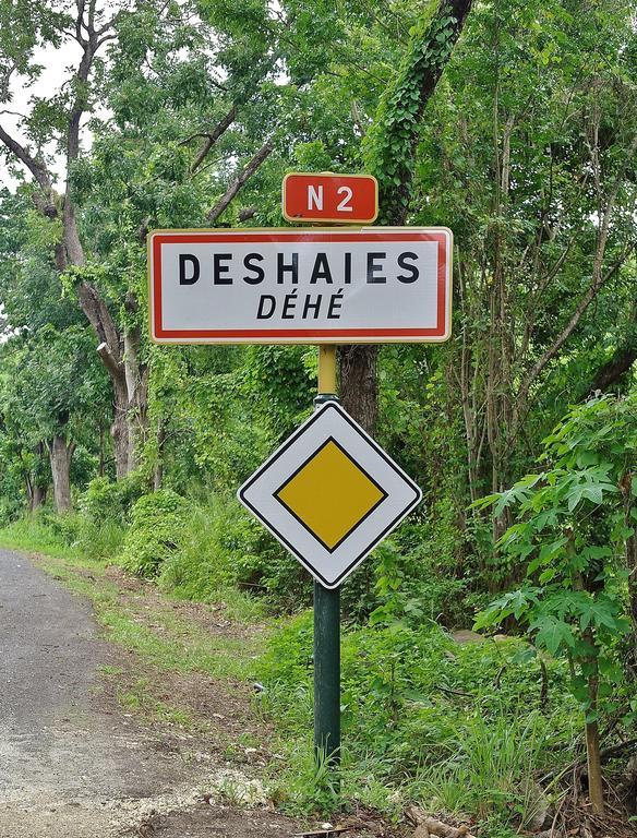 Les Merveilleux Flots De La Mer Deshaies Exteriör bild